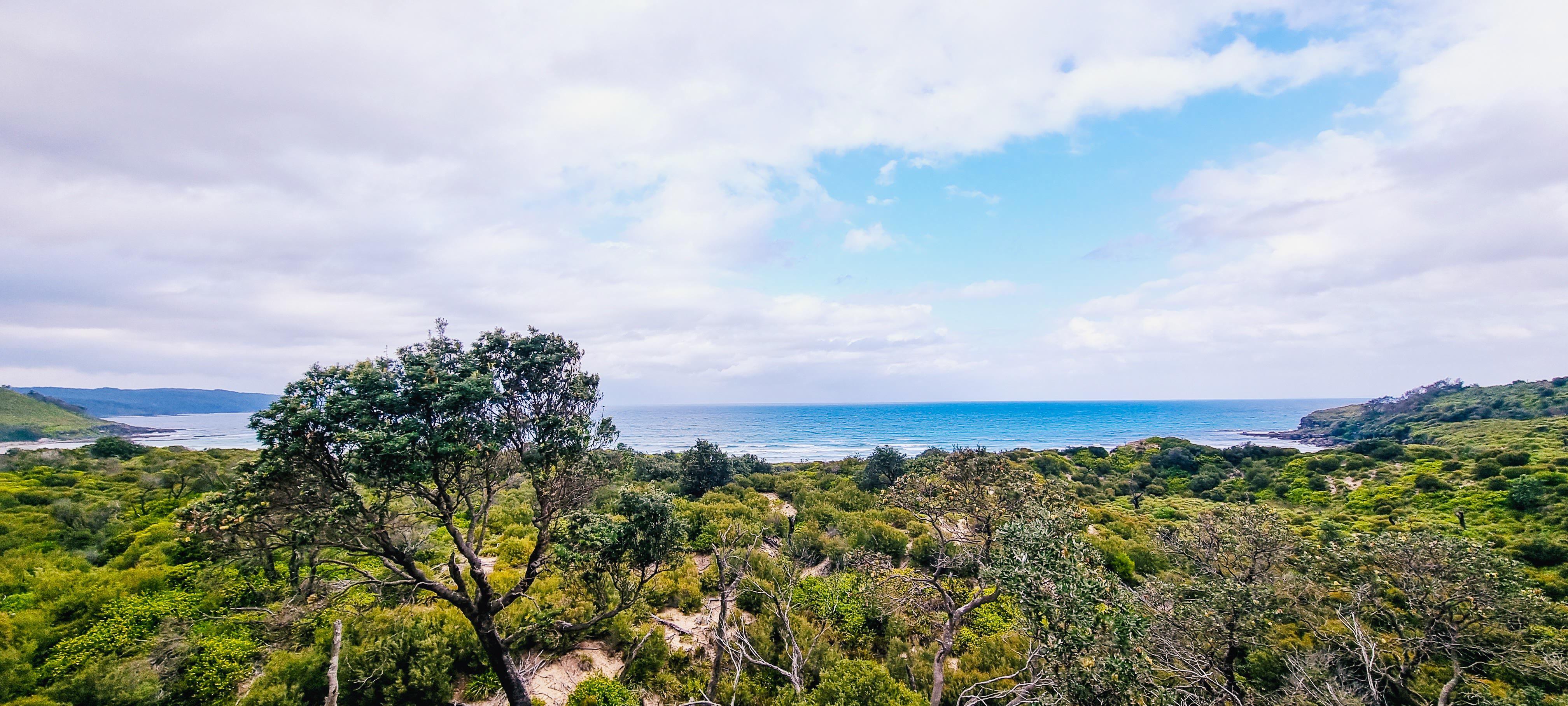 Cave Beach Lookout